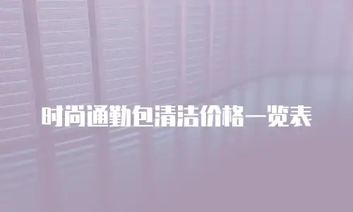 时尚通勤包清洁价格一览表