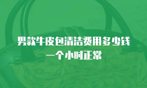 男款牛皮包清洁费用多少钱一个小时正常