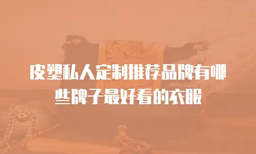 皮塑私人定制推荐品牌有哪些牌子最好看的衣服