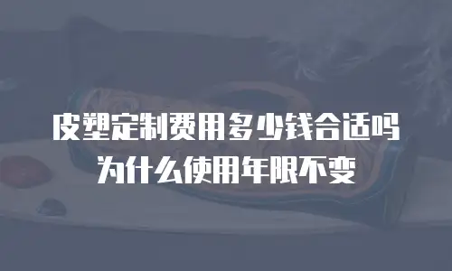 皮塑定制费用多少钱合适吗为什么使用年限不变