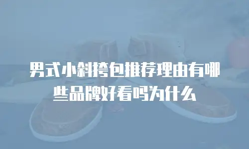 男式小斜挎包推荐理由有哪些品牌好看吗为什么