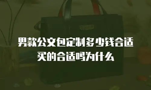 男款公文包定制多少钱合适买的合适吗为什么
