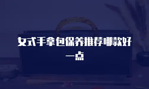 女式手拿包保养推荐哪款好一点