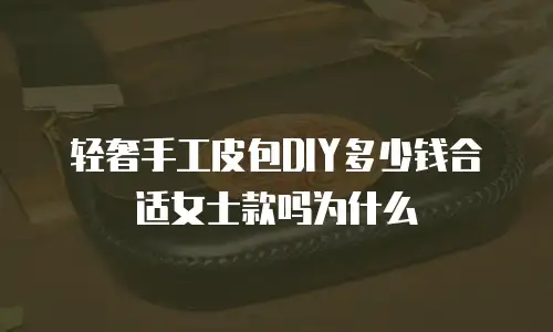 轻奢手工皮包DIY多少钱合适女士款吗为什么