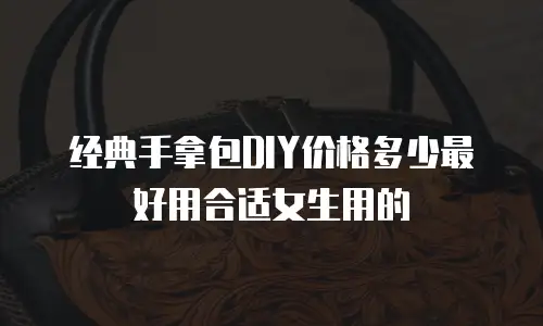 经典手拿包DIY价格多少最好用合适女生用的