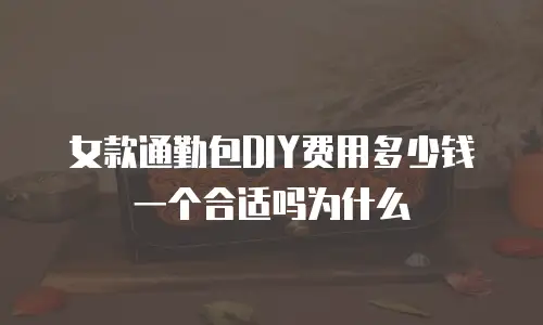女款通勤包DIY费用多少钱一个合适吗为什么