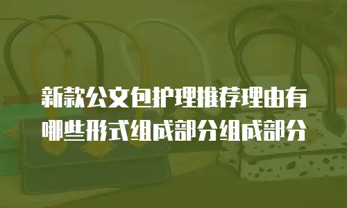 新款公文包护理推荐理由有哪些形式组成部分组成部分