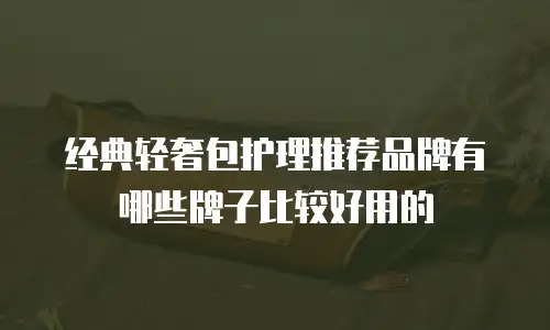 经典轻奢包护理推荐品牌有哪些牌子比较好用的