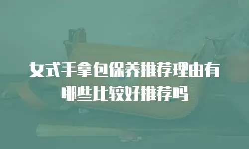 女式手拿包保养推荐理由有哪些比较好推荐吗