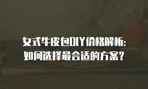 女式牛皮包DIY价格解析：如何选择最合适的方案？