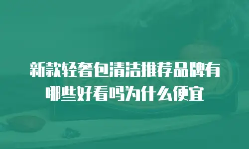 新款轻奢包清洁推荐品牌有哪些好看吗为什么便宜