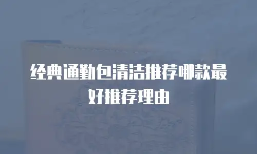 经典通勤包清洁推荐哪款最好推荐理由
