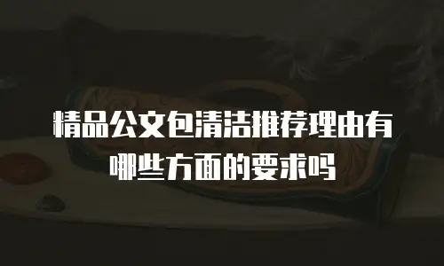 精品公文包清洁推荐理由有哪些方面的要求吗
