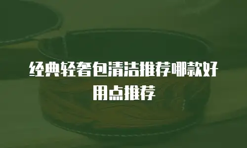 经典轻奢包清洁推荐哪款好用点推荐