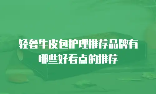 轻奢牛皮包护理推荐品牌有哪些好看点的推荐