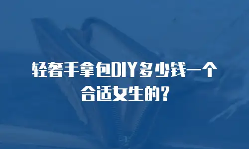轻奢手拿包DIY多少钱一个合适女生的？