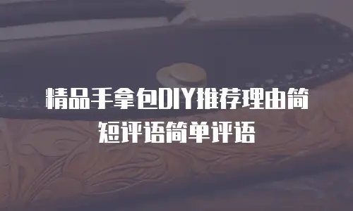 精品手拿包DIY推荐理由简短评语简单评语