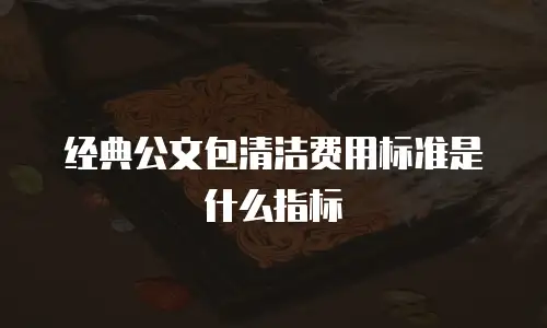 经典公文包清洁费用标准是什么指标