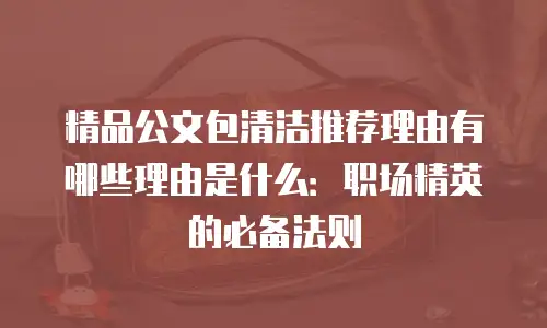 精品公文包清洁推荐理由有哪些理由是什么：职场精英的必备法则