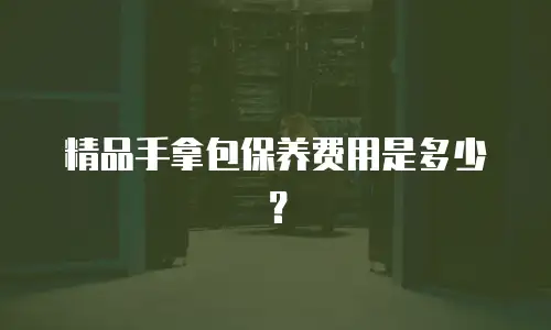 精品手拿包保养费用是多少？