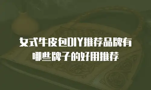 女式牛皮包DIY推荐品牌有哪些牌子的好用推荐