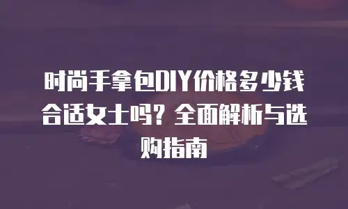 时尚手拿包DIY价格多少钱合适女士吗？全面解析与选购指南
