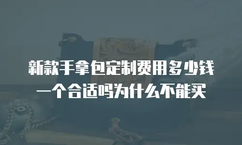 新款手拿包定制费用多少钱一个合适吗为什么不能买
