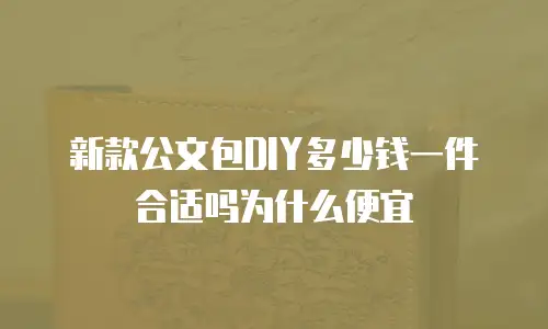 新款公文包DIY多少钱一件合适吗为什么便宜