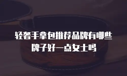 轻奢手拿包推荐品牌有哪些牌子好一点女士吗