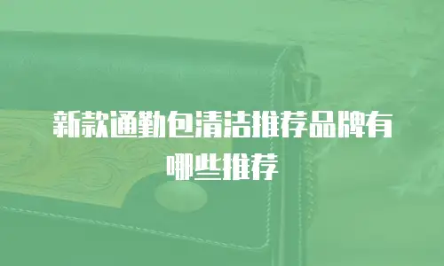 新款通勤包清洁推荐品牌有哪些推荐