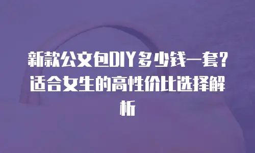 新款公文包DIY多少钱一套？适合女生的高性价比选择解析
