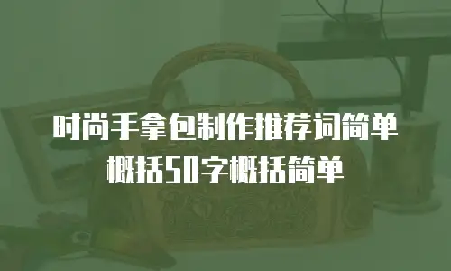 时尚手拿包制作推荐词简单概括50字概括简单