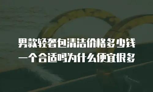 男款轻奢包清洁价格多少钱一个合适吗为什么便宜很多