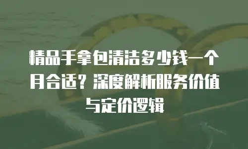 精品手拿包清洁多少钱一个月合适？深度解析服务价值与定价逻辑