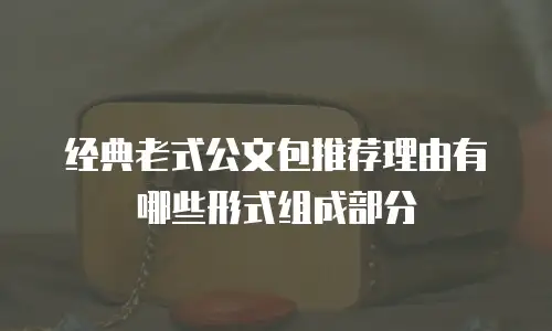 经典老式公文包推荐理由有哪些形式组成部分
