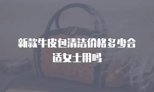 新款牛皮包清洁价格多少合适女士用吗