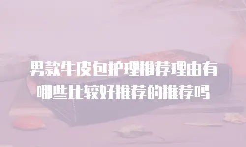 男款牛皮包护理推荐理由有哪些比较好推荐的推荐吗