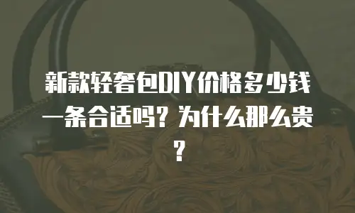 新款轻奢包DIY价格多少钱一条合适吗？为什么那么贵？
