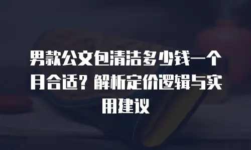 男款公文包清洁多少钱一个月合适？解析定价逻辑与实用建议