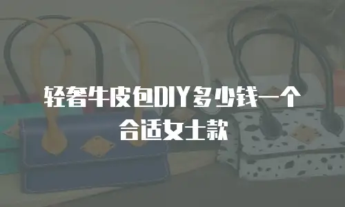 轻奢牛皮包DIY多少钱一个合适女士款