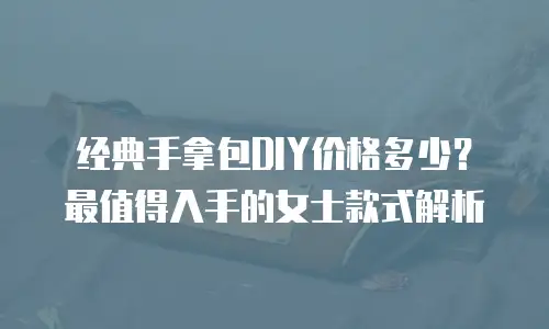 经典手拿包DIY价格多少？最值得入手的女士款式解析