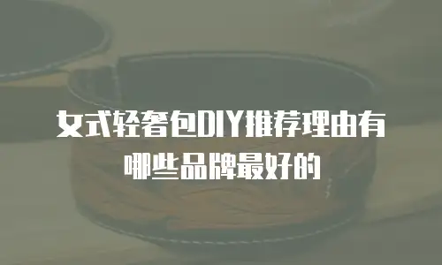 女式轻奢包DIY推荐理由有哪些品牌最好的