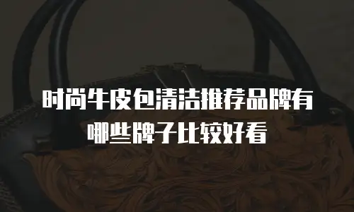 时尚牛皮包清洁推荐品牌有哪些牌子比较好看