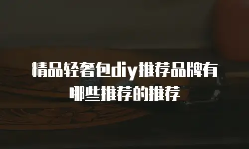 精品轻奢包diy推荐品牌有哪些推荐的推荐
