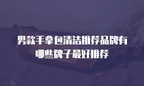 男款手拿包清洁推荐品牌有哪些牌子最好推荐