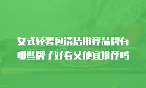 女式轻奢包清洁推荐品牌有哪些牌子好看又便宜推荐吗