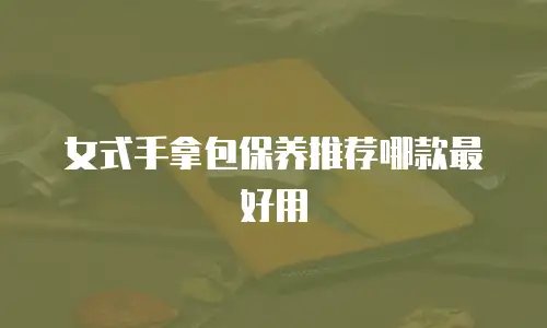 女式手拿包保养推荐哪款最好用