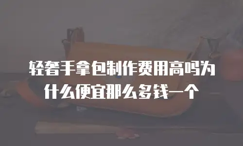 轻奢手拿包制作费用高吗为什么便宜那么多钱一个