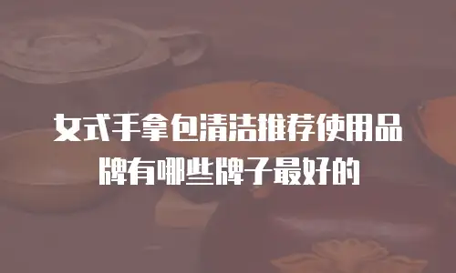 女式手拿包清洁推荐使用品牌有哪些牌子最好的