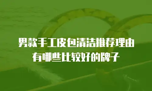 男款手工皮包清洁推荐理由有哪些比较好的牌子